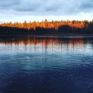 Meet your Posher, Logan